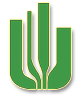 Cactus Game Design Inc.